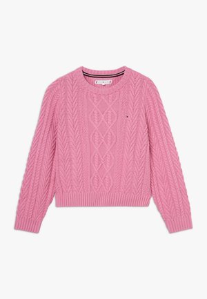 ICONIC CABLE - Maglione - purple