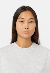 Dickies SUMMERDALE TEE - Jednoduché tričko - light gray
