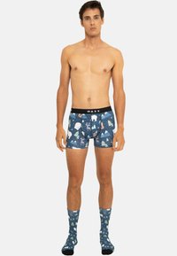 Boxers bleus pour hommes avec un motif d'ours des montagnes ; ceinture élastique portant l'inscription "WAXX". Associés à des chaussettes assorties présentant un design similaire.