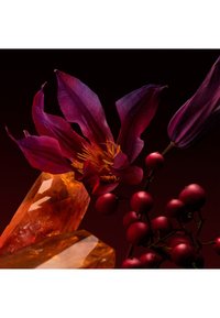 BOSS Fragrances - Perfumy