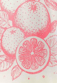 Roze illustratie van sinaasappels en een gesneden citroen op een lichte achtergrond, met gedetailleerde bladeren en texturen.