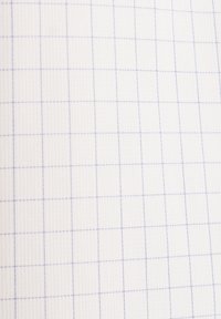 Carta da notebook bianca a griglia con linee azzurre chiare che formano piccoli quadrati. Superficie texturizzata con un layout a griglia chiaro.