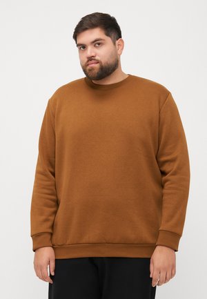 Brun sweatshirt med rund hals og lange ærmer. Laget av mykt stoff, med en avslappet passform og ribbestrikkede mansjetter og kant.