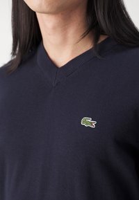 Personne portant un pull bleu marine à col en V avec un petit logo crocodile vert brodé sur le côté gauche de la poitrine.