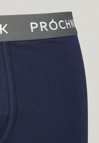 Granatowe męskie slipy z szarym elastycznym pasem, na którym znajduje się biały napis marki. Materiał jest gładki i elastyczny z płaskimi szwami.