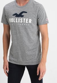 Šedé bavlněné tričko s modrou vyšívanou logem orla a textem "HOLLISTER CALIFORNIA" v bílé barvě. Krátké rukávy a klasický střih.
