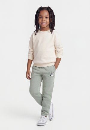 DISLOGO SPRING HERITAGE UNISEX - Træningsbukser - green