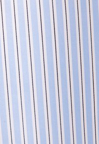 Tessuto a righe blu chiaro e bianco con linee verticali e sottili accenti neri. Il tessuto ha una texture liscia e una leggera lucentezza.