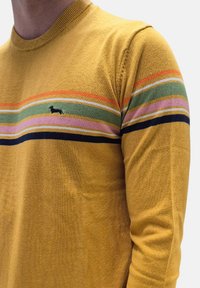 Pull tricoté en jaune moutarde avec des rayures horizontales en orange, vert, rose et bleu marine. Présente un petit logo de dachshund noir.