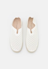 Zapatos blancos de lona perforados, tipo slip-on, con una suela flexible, que presentan una textura suave y un diseño de punta redondeada. Forro suave visible en el interior.