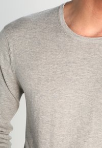 Hellgraues Langarmshirt aus weichem Strickstoff mit rundem Ausschnitt und subtiler Textur. Keine sichtbaren Muster oder Akzente.