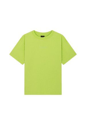 WASHED UNITY FLAG LIME - T-shirt print - green