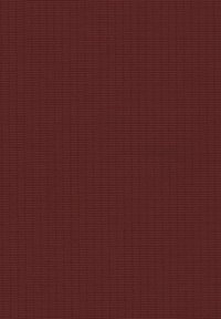 bugatti ABTRENNBARER KAPUZE - Weste - rost