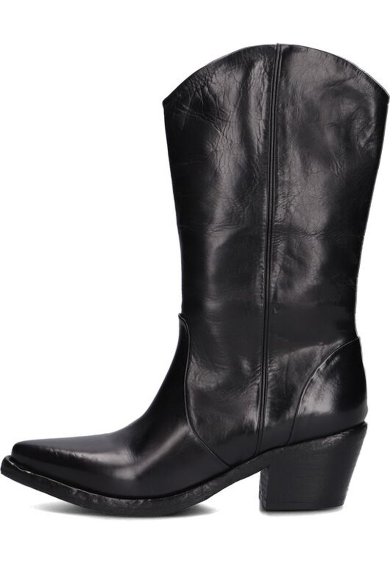 Zwarte leren cowboylaars met een spitse neus, iets gebogen bovenkant en een blokhak. Glad oppervlak met subtiele plooien en stiksels.