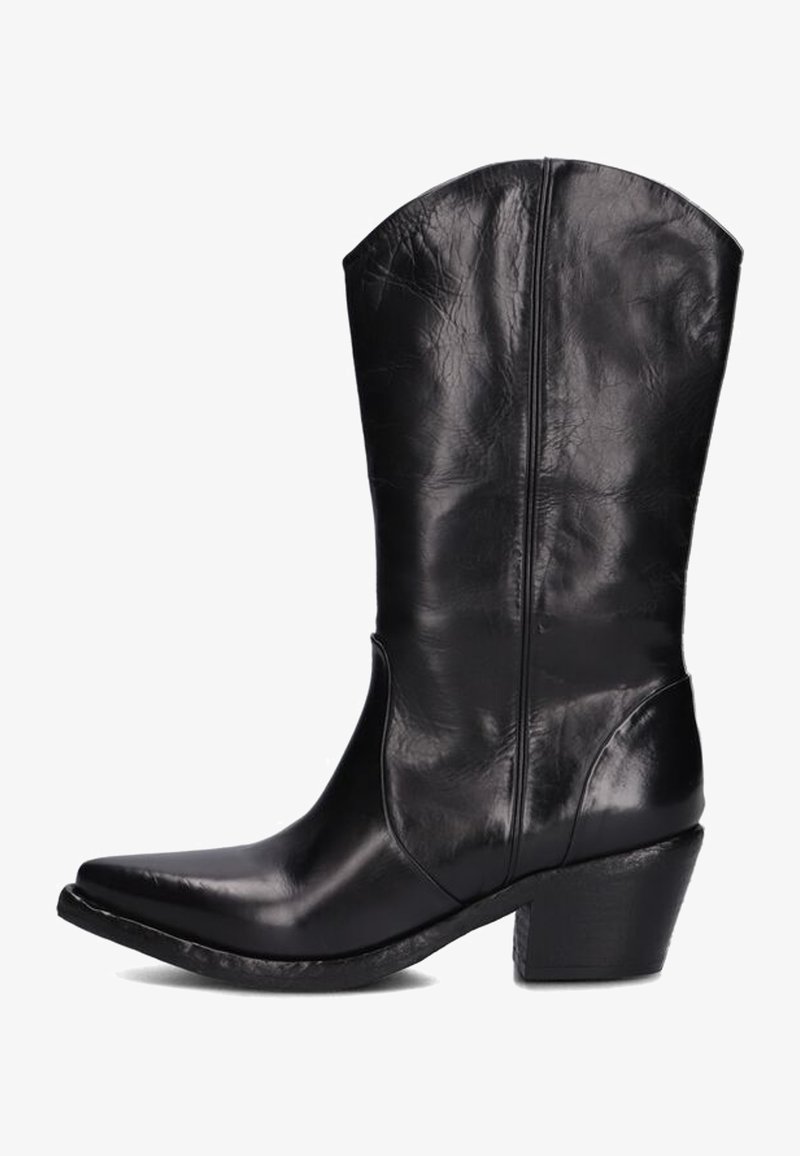 Zwarte leren cowboylaars met een spitse neus, iets gebogen bovenkant en een blokhak. Glad oppervlak met subtiele plooien en stiksels.