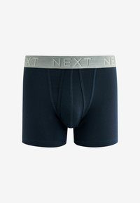 Next A FRONTS 10 PACK - Boxer alsónadrág - blue grey pink