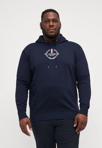 Tommy Hilfiger GLOBAL STRIPE WREATH HOODY - Hoodie - desert sky