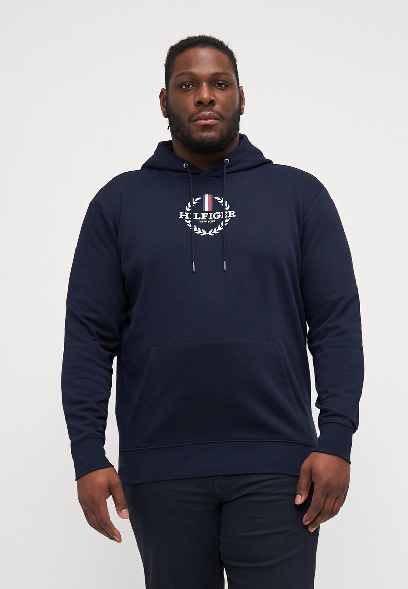 Tommy Hilfiger GLOBAL STRIPE WREATH HOODY - Hoodie - desert sky