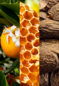 Orange fruit with green leaves, honeycomb with hexagonal cells, and dark dried fruit with a wrinkled texture.