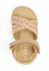 Next SCALLOP STANDARD FIT - Sandaler - tan brown