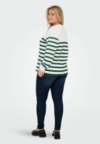 Pull à rayures à manches longues vert et blanc, associé à un skinny jean bleu foncé. Les textures sont lisses avec une coupe décontractée.