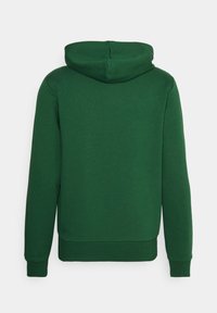 Sudadera de manga larga con capucha en verde oscuro, con puños y cinturilla acanalados, mostrada desde la parte posterior sobre un fondo claro.