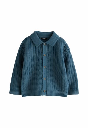 Blue knitted long-sleeve cardigan with a textured pattern, button front, ribbed cuffs and hem, and a flat knit collar.