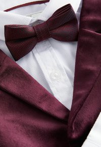Next SET  - REGULAR FIT - Skjorter - plum purple