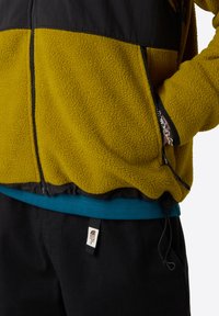 The North Face DENALI  czarny