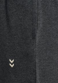 Gray athletic pants featuring a soft, textured fabric. Notable white chevron logo on the side. Simple, streamlined design with no visible pockets.