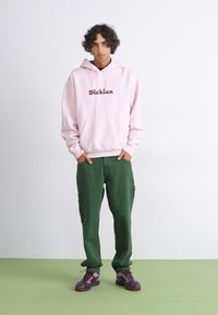 Felpa rosa chiaro con logo "Dickies", tasca frontale, abbinata a pantaloni verdi. Modello indossa sneaker multicolori. Outfit semplice e casual.