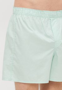 Pantaloni scurți de baie de culoare verde mentă, cu un elastic la talie, buzunare laterale, o croială lejeră și un material neted, ușor.