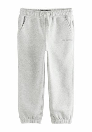 REGULAR FIT - PREMIUM JOGGERS - Verryttelyhousut - grey