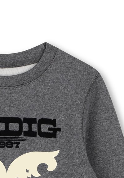 Grijze sweatshirt met een ronde halslijn, voorzien van zwarte tekst en een romige grafische vormgeving aan de voorkant. Zachte textuur, casual stijl.