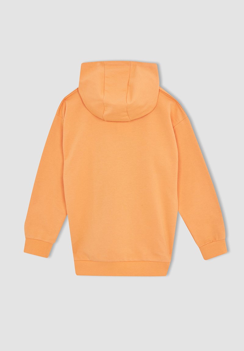 Kinder Pullover | DeFacto REGULAR FIT Kapuzenpullover orange - VZ64916 Kinder Pullover | DeFacto REGULAR FIT Kapuzenpullover orange - VZ64916