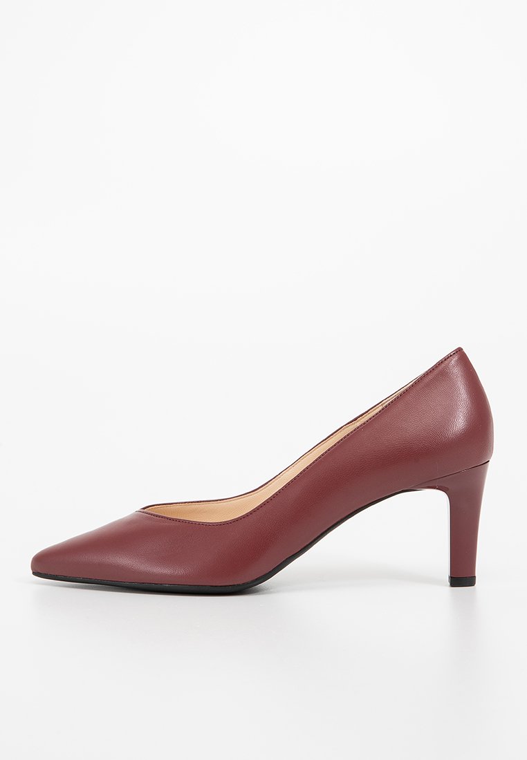 Bordeaux leren pump met een spitse neus, slanke hak en een gladde textuur. Minimalistisch ontwerp zonder zichtbare patronen of accenten.