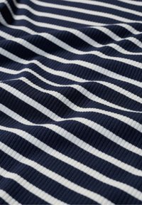 Seasalt Cornwall GORSE LANE  - Basic T-shirt - breton maritime chalk - breton maritime chalk