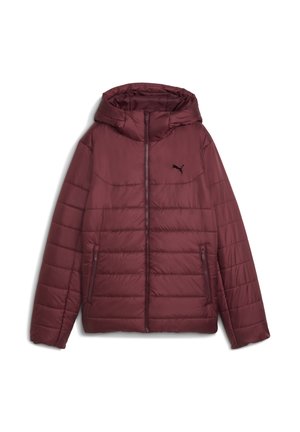 HOODED PADDED - Zimná bunda - ruby shimmer