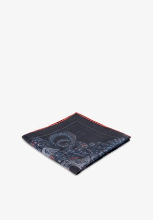 BOHEMIAN REVOLT ST POUL - Pocket square - blue