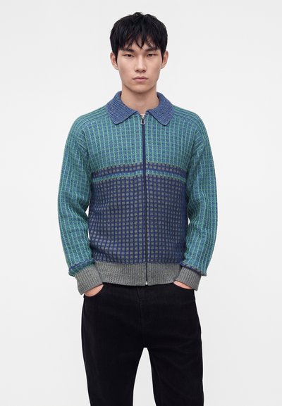 Jeune homme aux cheveux courts et noirs portant un pull zippé bleu et vert à motif avec des poignets et un col gris, debout les mains dans les poches.