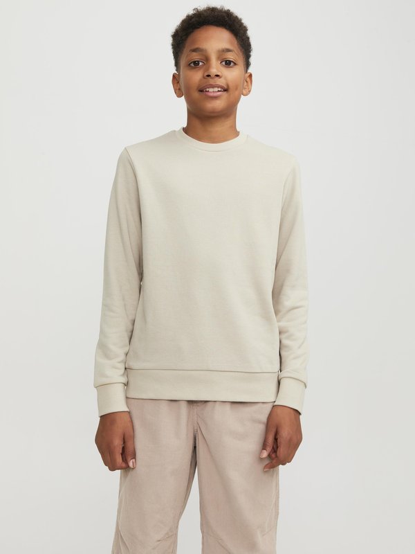 JJEBRADLEY CREW - Sweatshirt - moonbeam