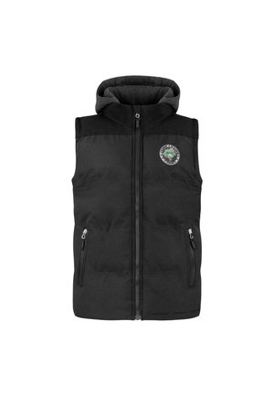 FULL ZIP - Weste - anthrazit