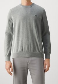 Pull en maille gris à manches longues, avec poignets et ourlet côtelés, arborant un petit logo vert sur la poitrine. Texture lisse, col rond classique.