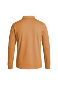 Langärmliges Poloshirt aus weichem, terracottafarbenem Baumwollstoff mit einem Kragen und einer glatten, einheitlichen Textur. Enthält keine sichtbaren Logos oder Muster.