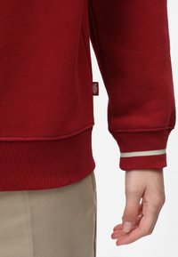 Dickies Felpa - red