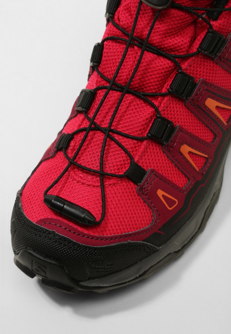 salomon beet red