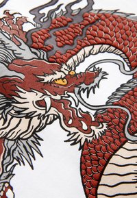 Next RELAXED FIT GRAPHIC SHORT SLEEVE SET  - Treningo apatinė dalis - white black dragon