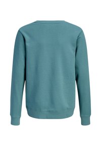 Πράσινο φούτερ με στρογγυλή λαιμόκοψη, μακριά μανίκια και ριμπ μανσέτες. Λείο υλικό με ενιαίο χρώμα, χωρίς σχέδια ή ορατά στοιχεία.