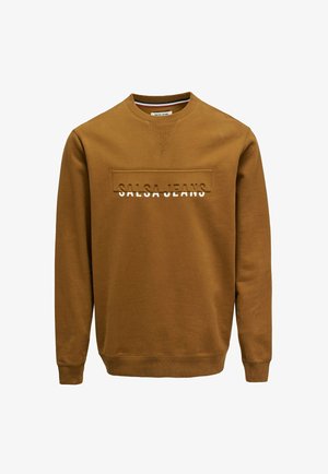 Sweat-shirt marron à manches longues, col rond et poignets côtelés. Présente un logo texte en relief "SALSA JEANS" sur le devant. Matière en mélange de coton.