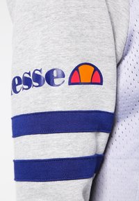 Tessuto grigio della felpa con strisce blu sulle maniche. Presenta un logo colorato con un motivo semicircolare. Il testo recita "Hesse."